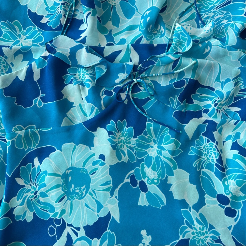 NWT Express Y2K VTG babydoll Floral Blue coquette Dress Whimsigoth - Picture 11 of 14